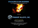 Website Snapshot of Trident Alloy, Inc.