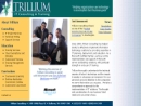 Website Snapshot of TRILLIUM CONSULTING