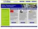 Website Snapshot of TRISTAR ELECTRONICS CONTROLS