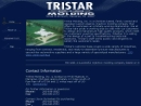 Website Snapshot of Tri-Star Molding, Inc.