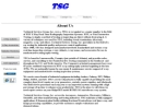 Website Snapshot of TECHNICAL SERVICES GROUP INC
