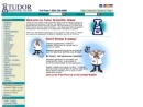 Website Snapshot of Tudor Scientific Glass, Inc.