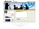 Website Snapshot of Valley Clear Connections