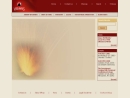 Website Snapshot of Vesuvius USA Corp