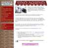 Website Snapshot of Vino Aquino