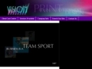 Website Snapshot of Vision Graphics