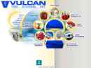 VULCANFIRE SYSTEMS INC