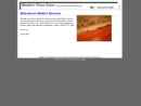 Website Snapshot of WEBBS FLOOR CARE