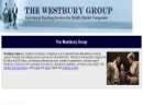 Website Snapshot of WESTBURY GROUP, INC.