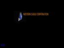WESTERN CABLE AND COMPONENTS, INC