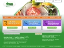 Website Snapshot of Wild Flavors Inc