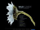 Website Snapshot of WILDFLOWER INTERNATIONAL LTD