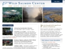 Website Snapshot of WILD SALMON CENTER