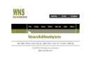 WORLD NETWORKING SERVICES, INC