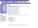 Website Snapshot of WOLINSKI & COMPANY, C.P.A., P.C.