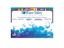 Website Snapshot of Water Safety Corp.