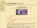 Website Snapshot of Stull Tool & Grinding